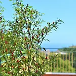 度假居 I Tre Pini *